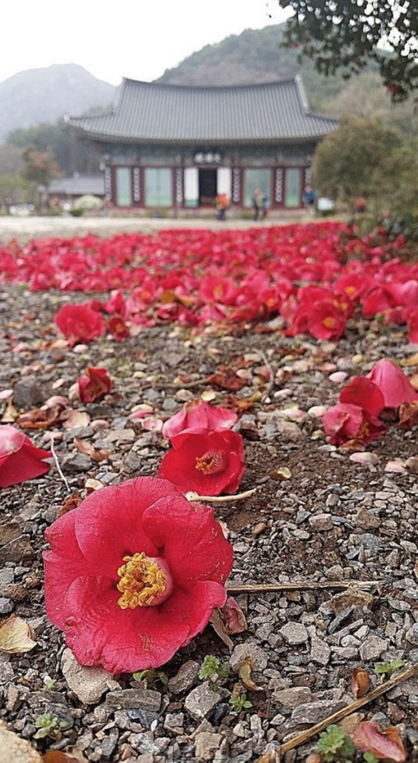 스크린샷 2024-07-16 오후 7.08.07.png