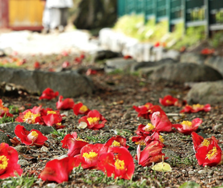 스크린샷 2024-07-16 오후 8.04.10.png