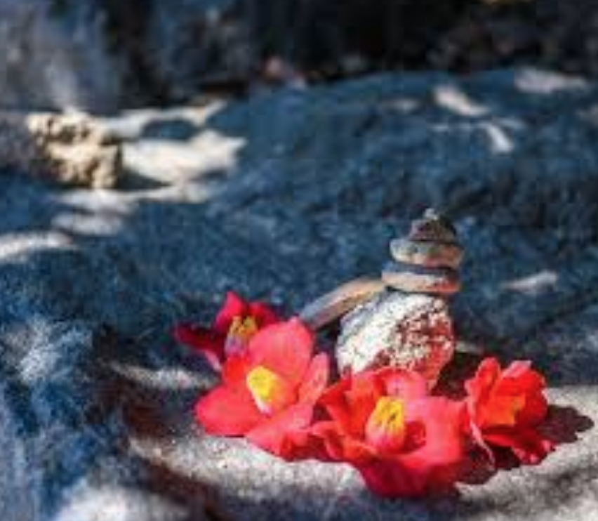 스크린샷 2024-07-16 오후 8.43.31.png