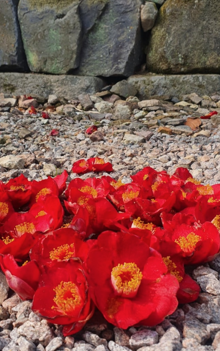 스크린샷 2024-07-16 오후 8.32.00.png