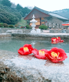 스크린샷 2024-07-17 153415.png