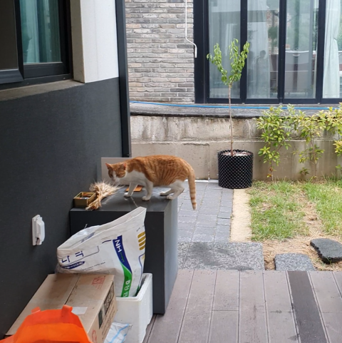 스크린샷 2024-01-29 223133.png