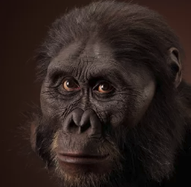 Screenshot 2024-10-28 at 14.24.37.png