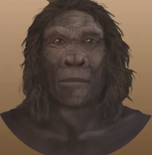 Screenshot 2024-10-28 at 14.32.11.png