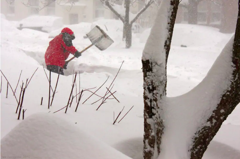 Screen Shot 2021-01-31 at 9.48.41 PM.png