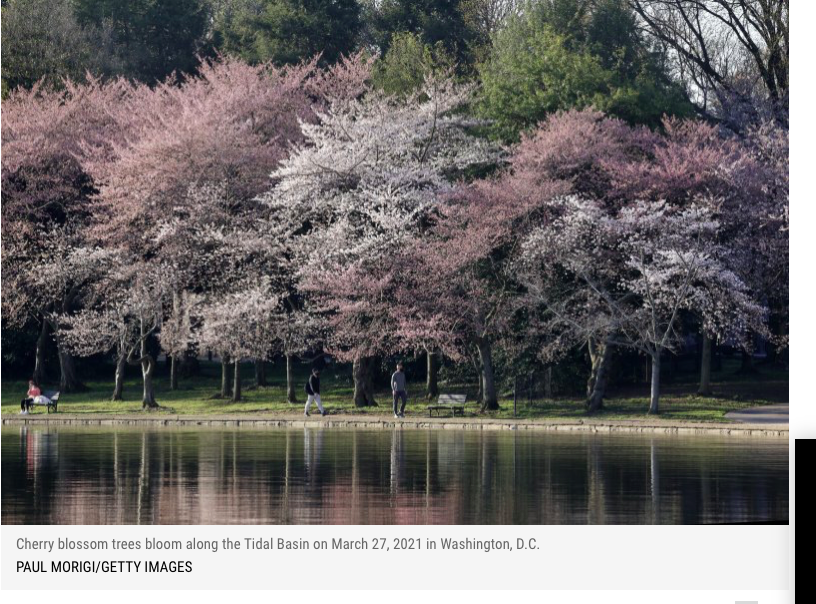 Screen Shot 2021-03-30 at 11.58.39 PM.png