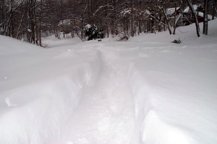 Screen Shot 2021-01-31 at 9.48.56 PM.png