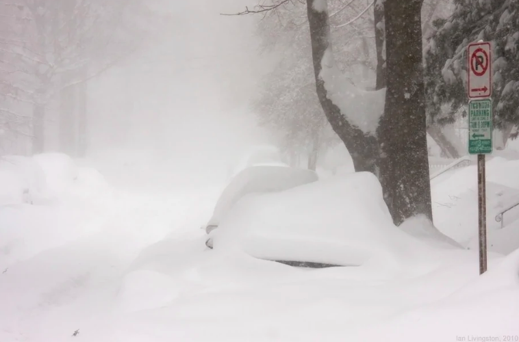 Screen Shot 2021-01-31 at 9.49.05 PM.png