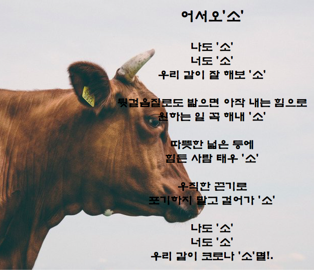 Screen Shot 2020-12-31 at 11.08.31 PM.png