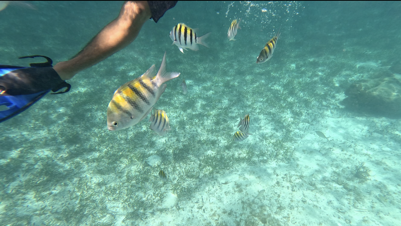 스크린샷 2023-05-06 오전 8.31.30.png