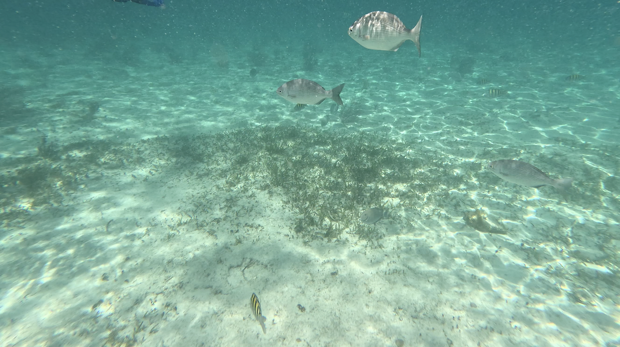 스크린샷 2023-05-06 오전 8.30.29.png