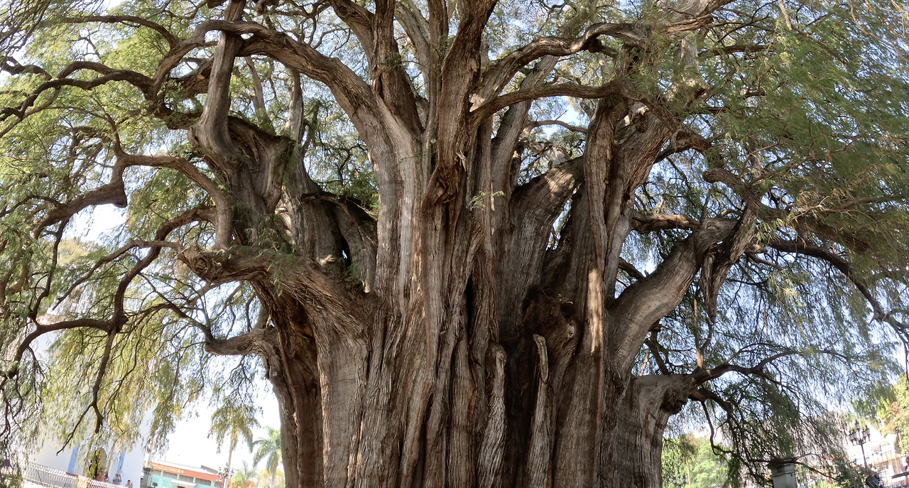 스크린샷 2023-04-30 오전 11.04.41.png