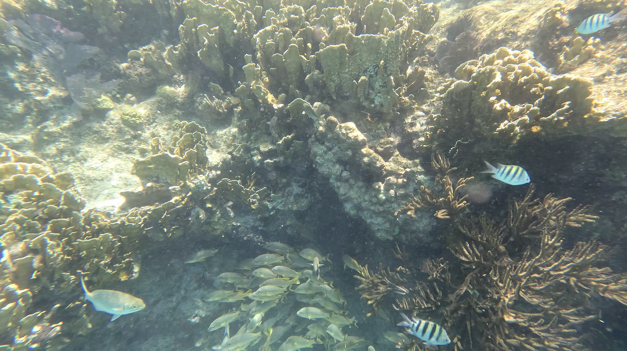 스크린샷 2023-05-06 오전 8.32.29.png