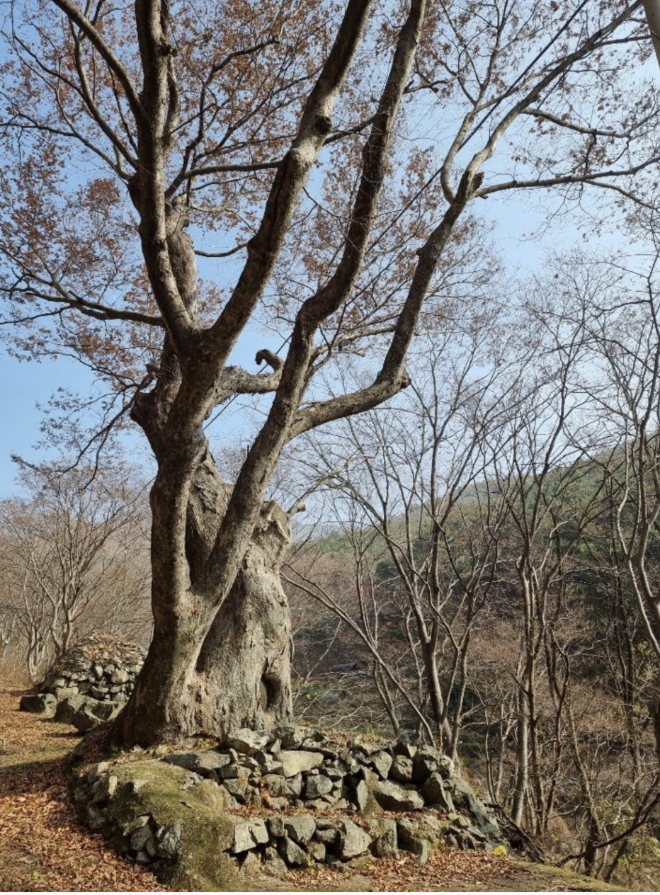 스크린샷 2025-01-16 오전 7.59.33.png