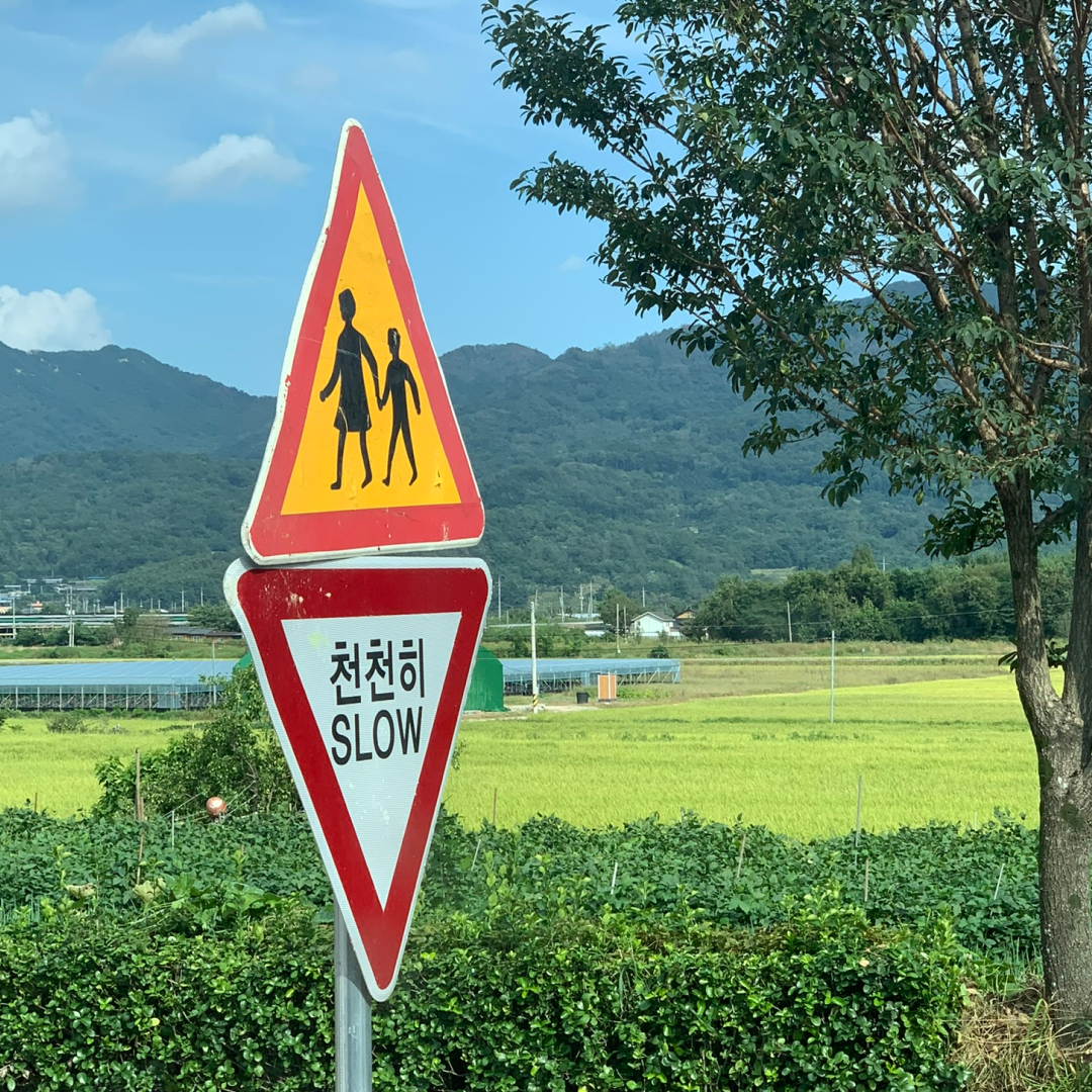 여행하는 마케터 시리즈2 5.png