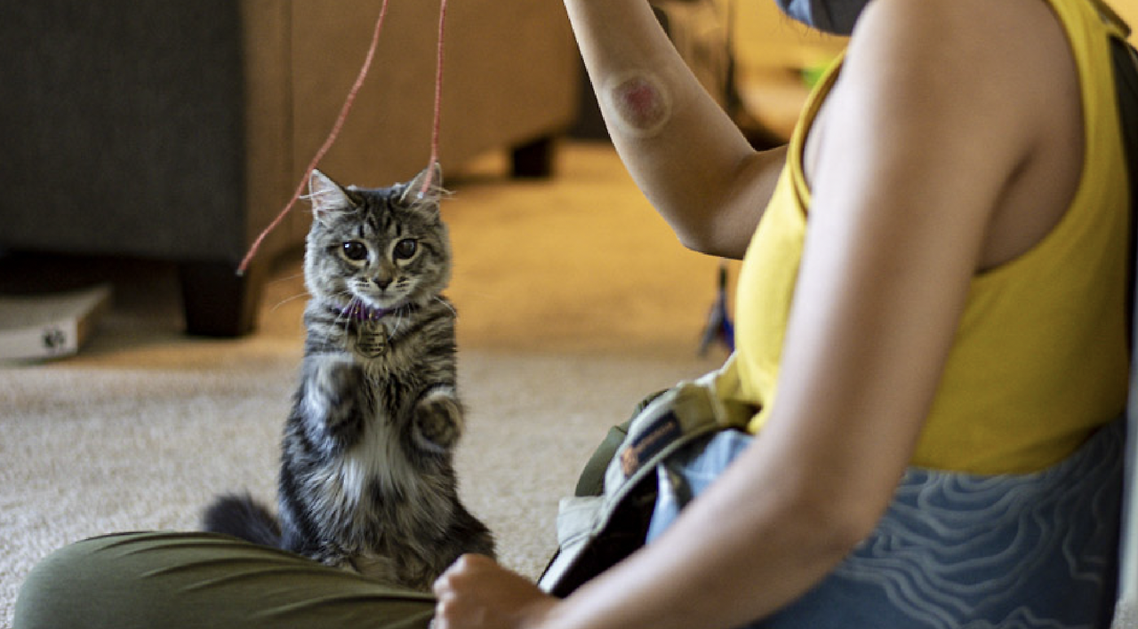 Screen Shot 2021-02-16 at 6.30.13 PM.png