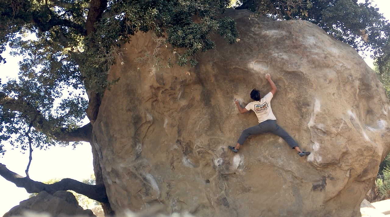 Screen Shot 2020-12-22 at 12.20.08 PM.png