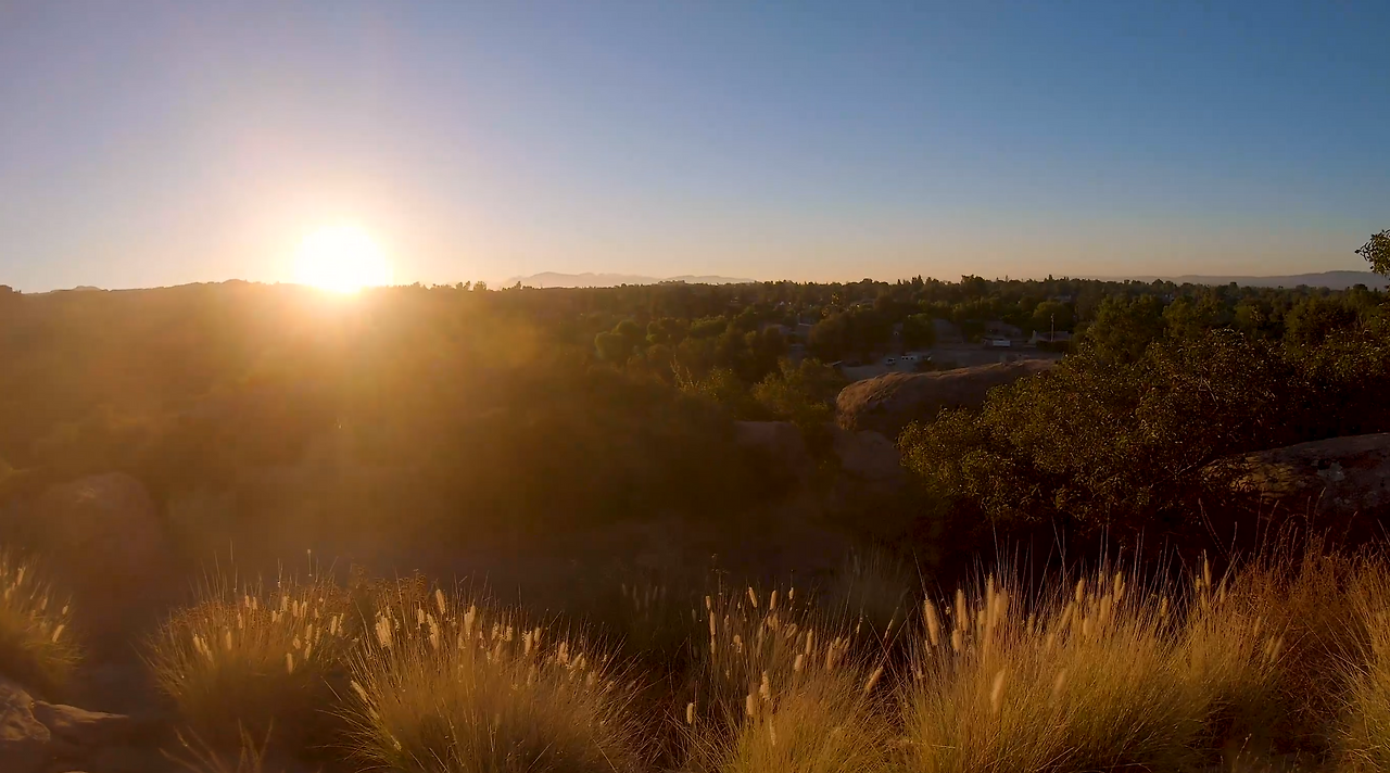 Screen Shot 2020-12-22 at 12.23.12 PM.png