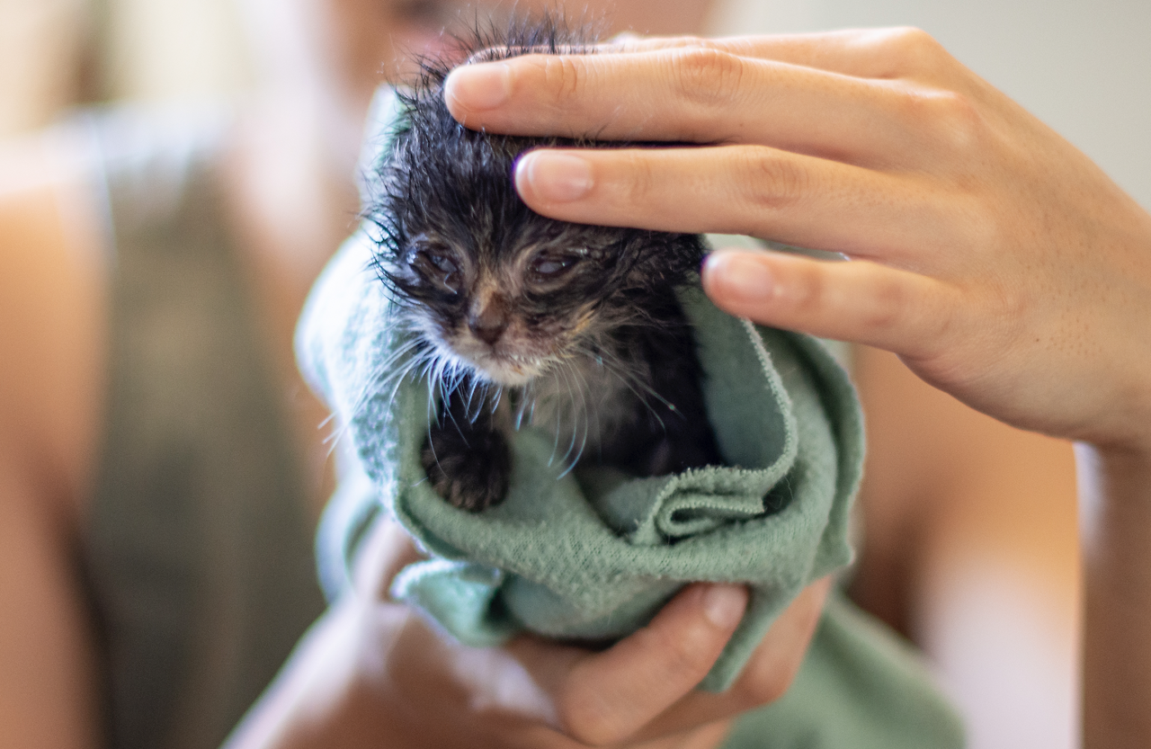 Screen Shot 2021-02-16 at 6.32.27 PM.png