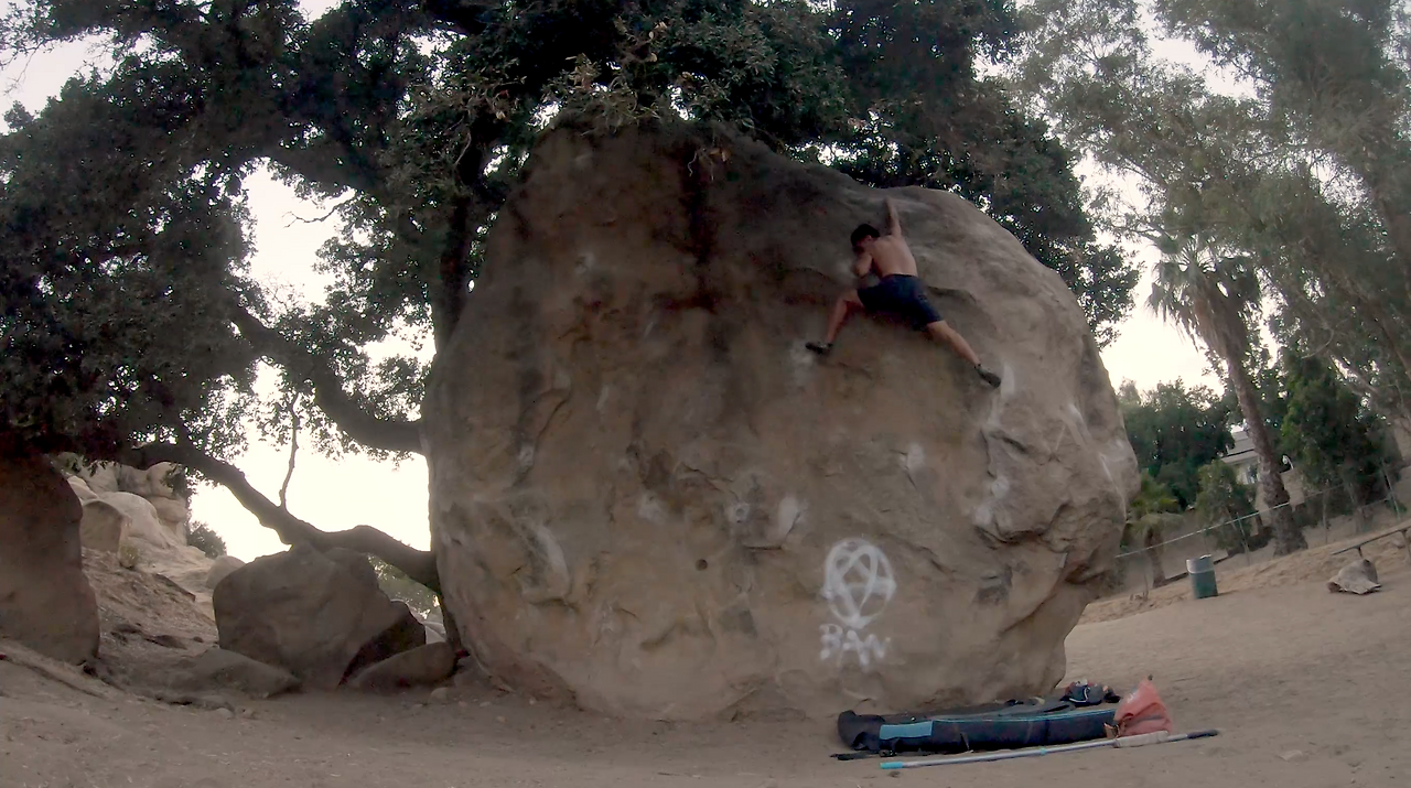 Screen Shot 2020-12-22 at 12.19.48 PM.png