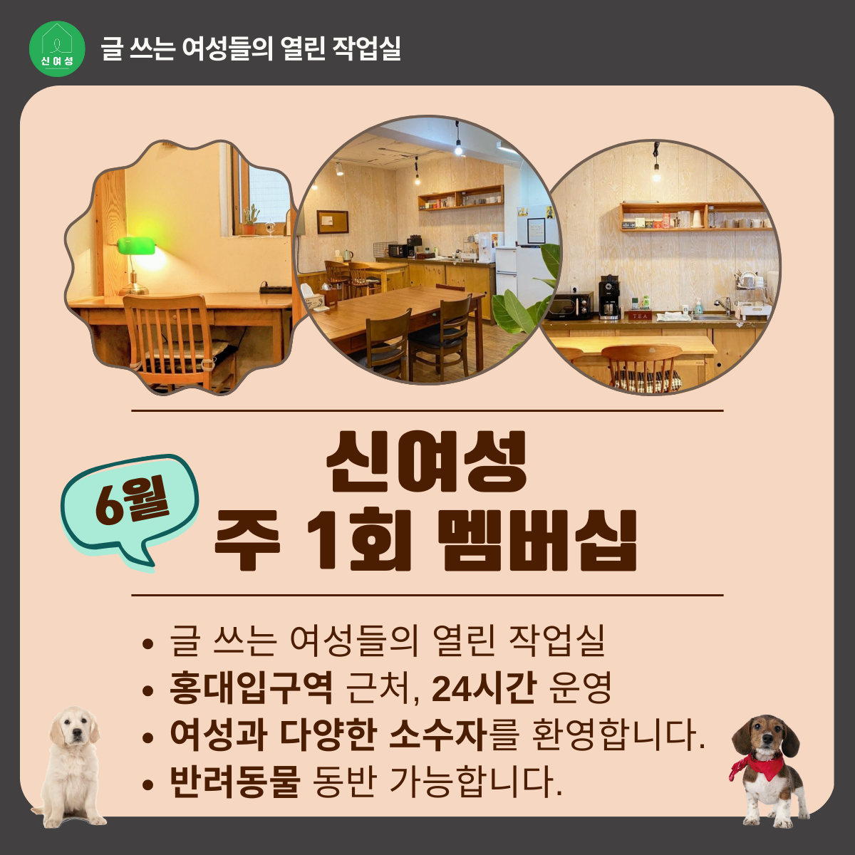 9. 주1회 (1).png