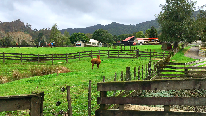 스크린샷 2019-10-11 오전 12.05.57.png