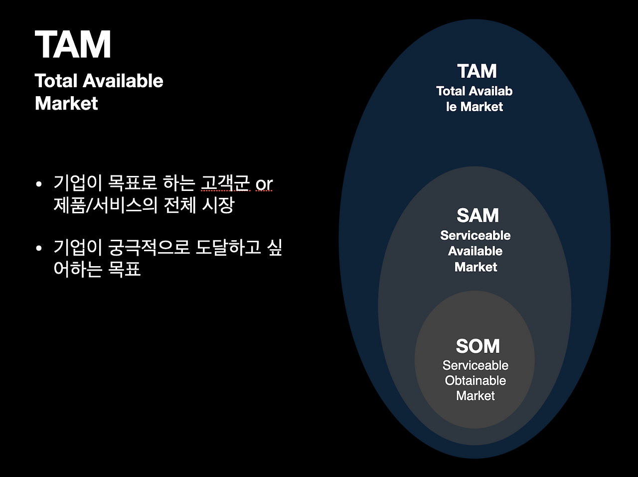 경쟁력있는 시장조사 법 tam.png