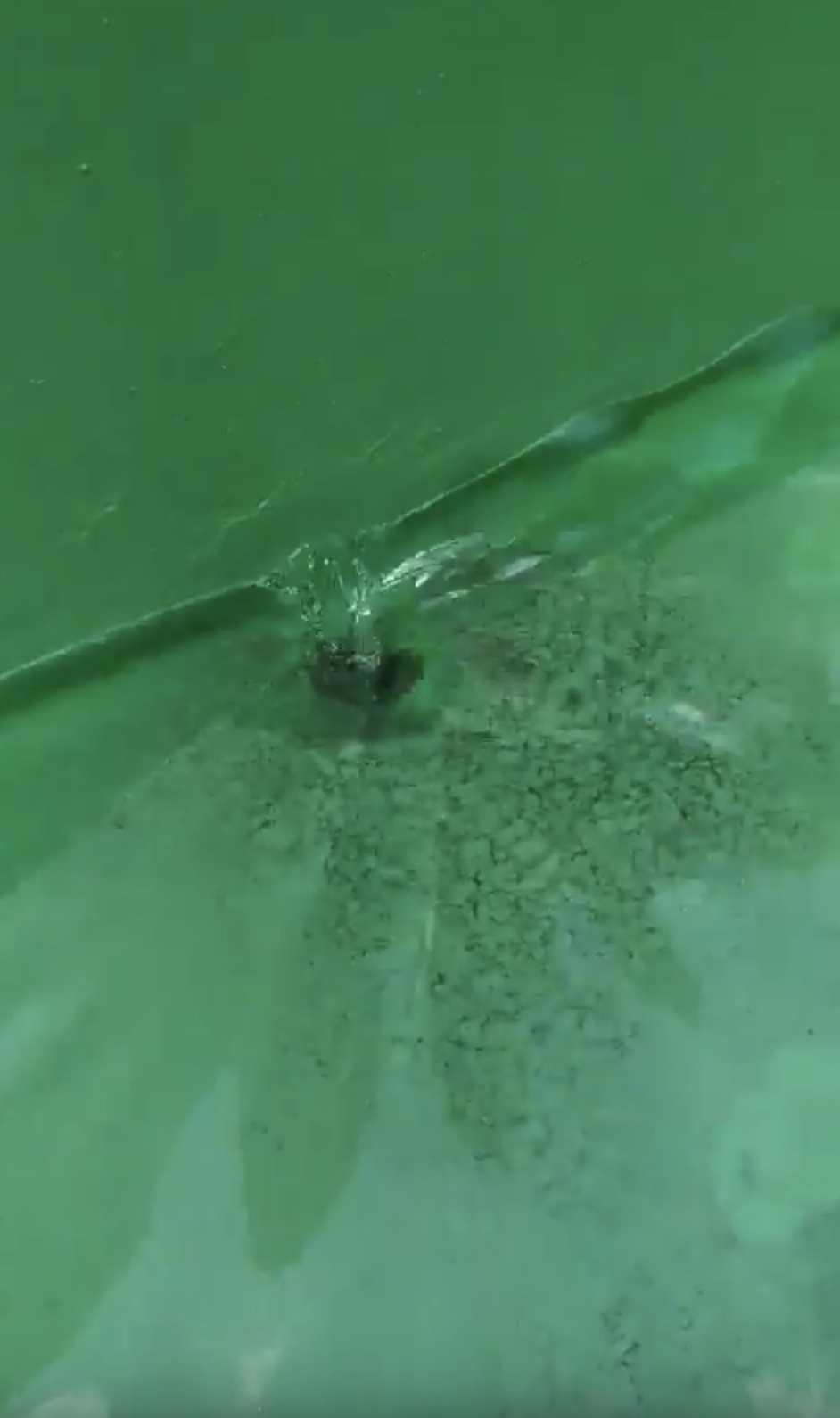 Screen Shot 2020-02-04 at 5.34.03 PM.png