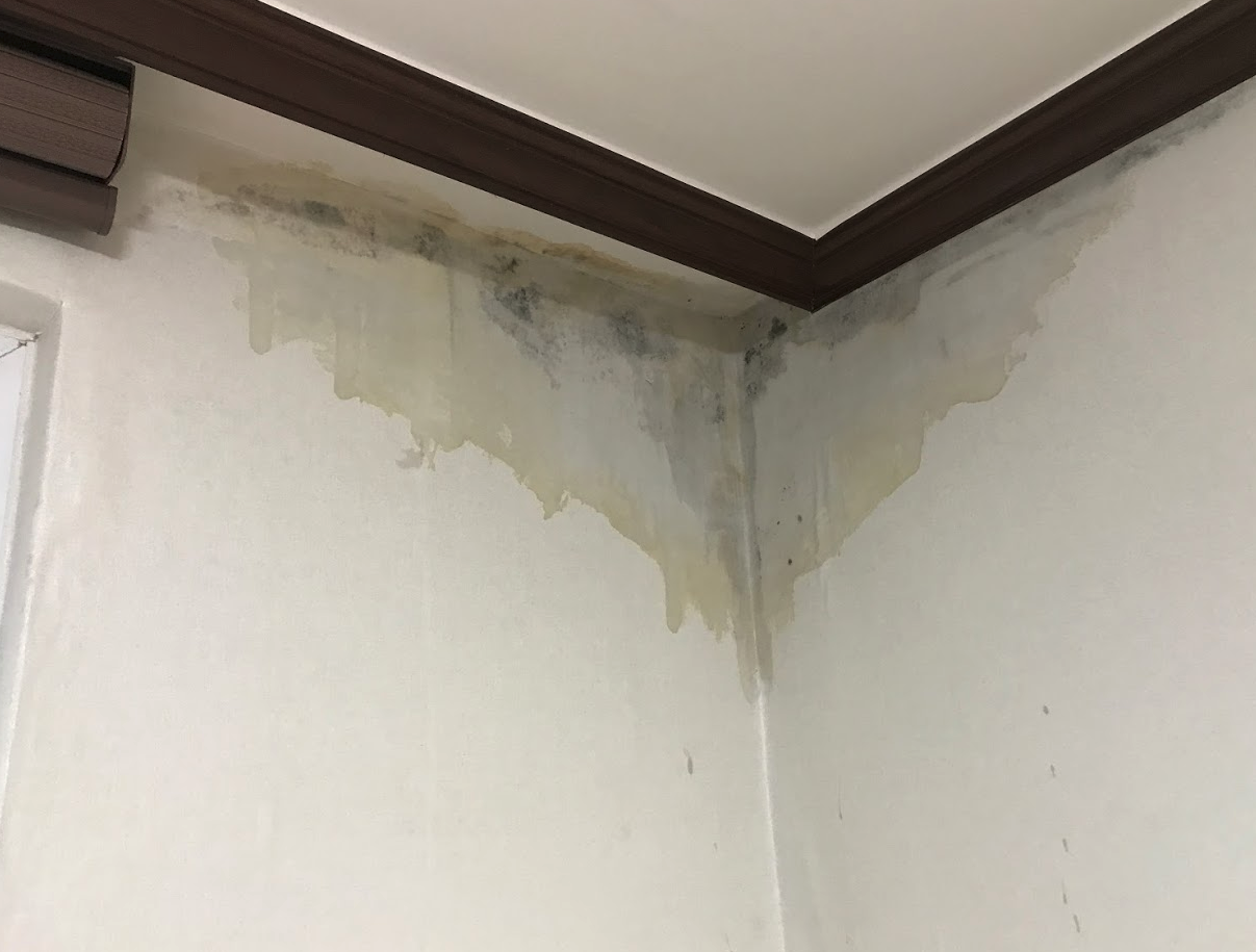 Screen Shot 2020-01-29 at 1.43.00 AM.png