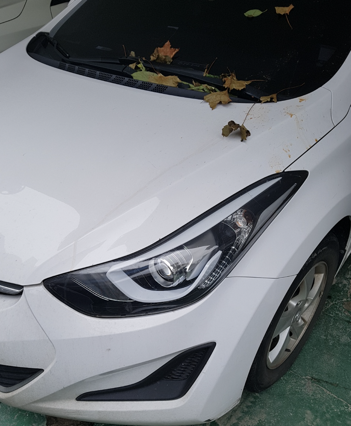 Screen Shot 2019-12-26 at 3.20.11 PM.png