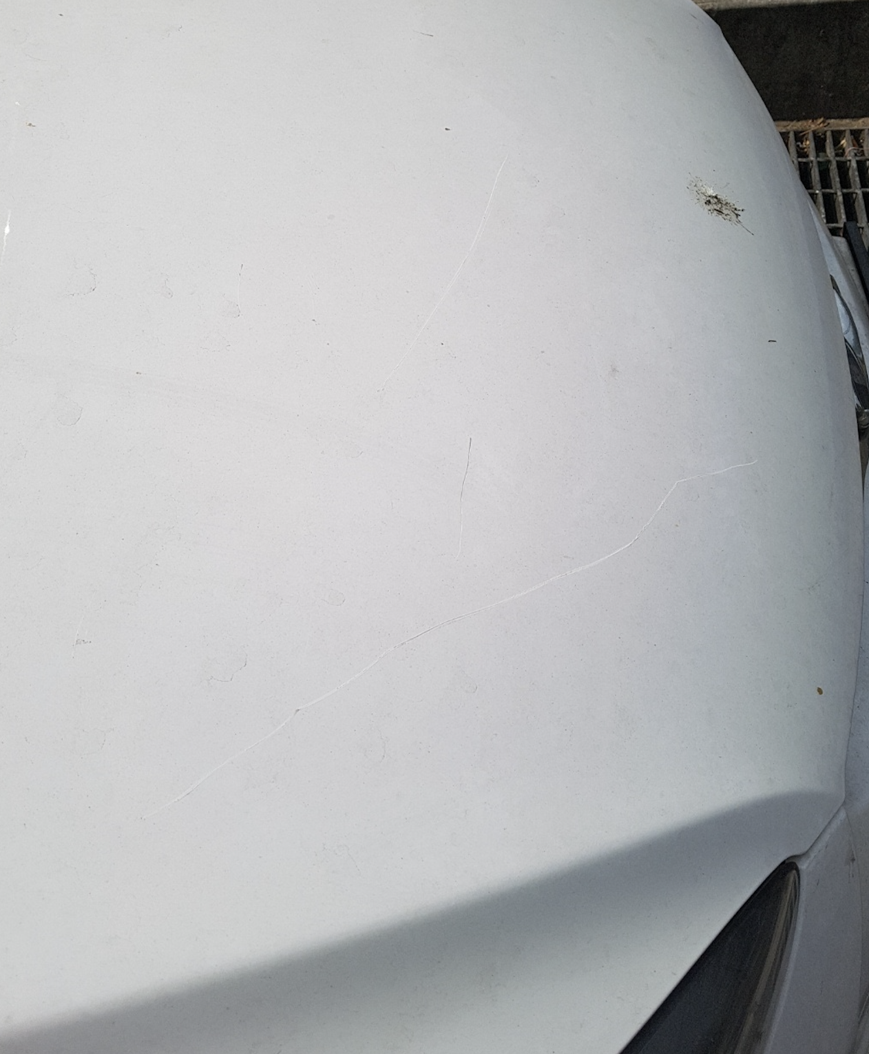 Screen Shot 2019-12-26 at 2.59.07 PM.png