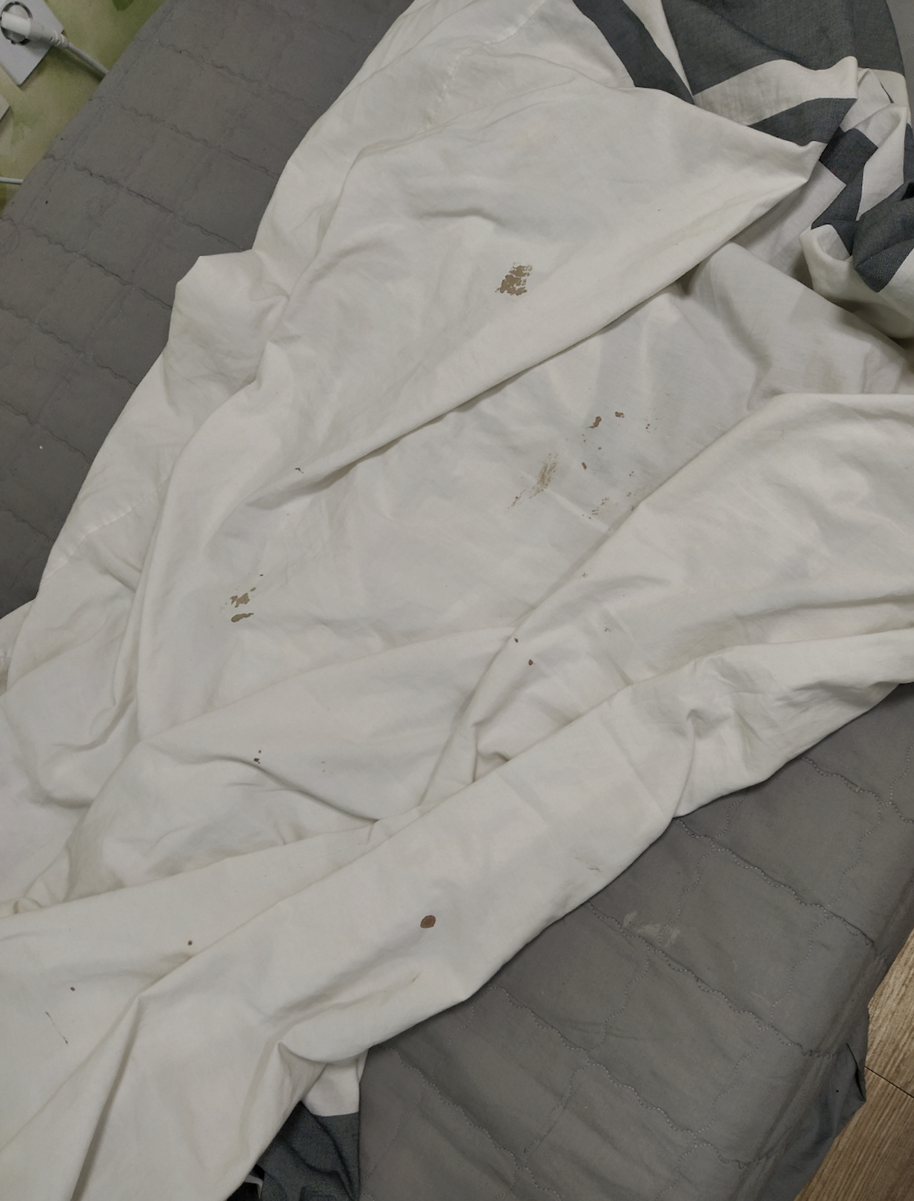 Screen Shot 2020-03-02 at 2.01.20 PM.png