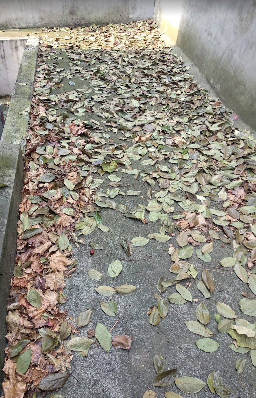 Screen Shot 2021-07-23 at 1.48.05 PM.png