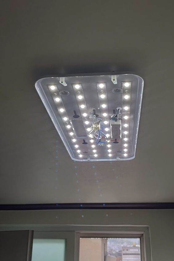 Screen Shot 2020-05-28 at 11.51.44 AM.png