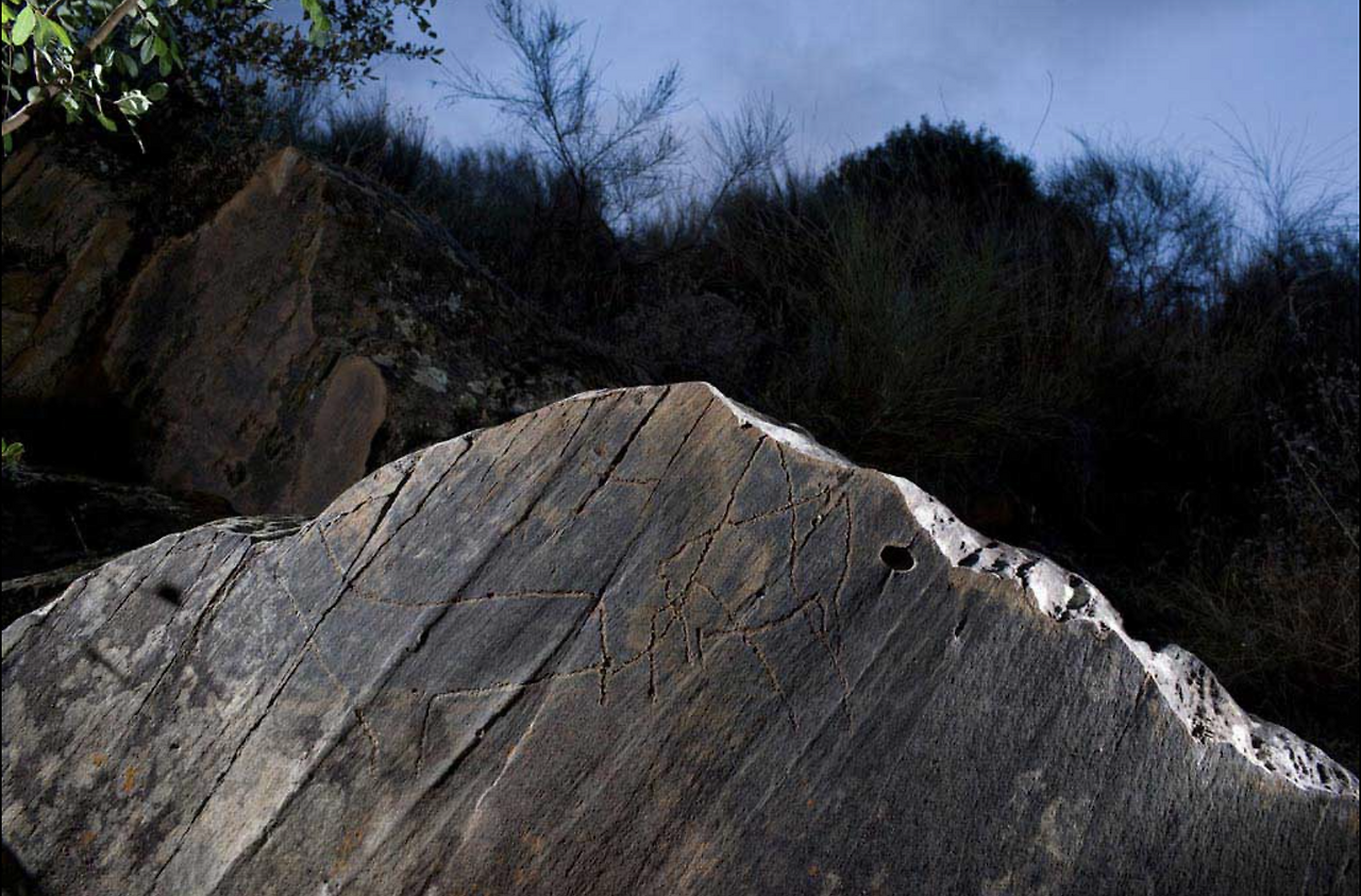 스크린샷 2021-09-27 오후 1.05.24.png