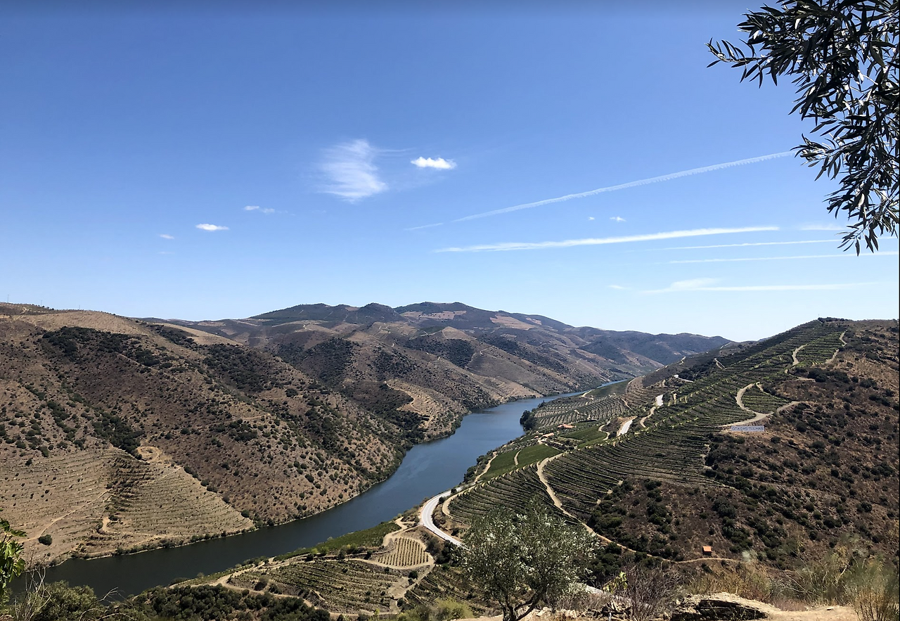 스크린샷 2021-09-27 오후 1.00.54.png