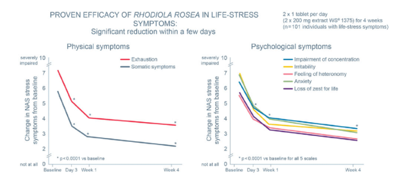 스트레스 변화.png