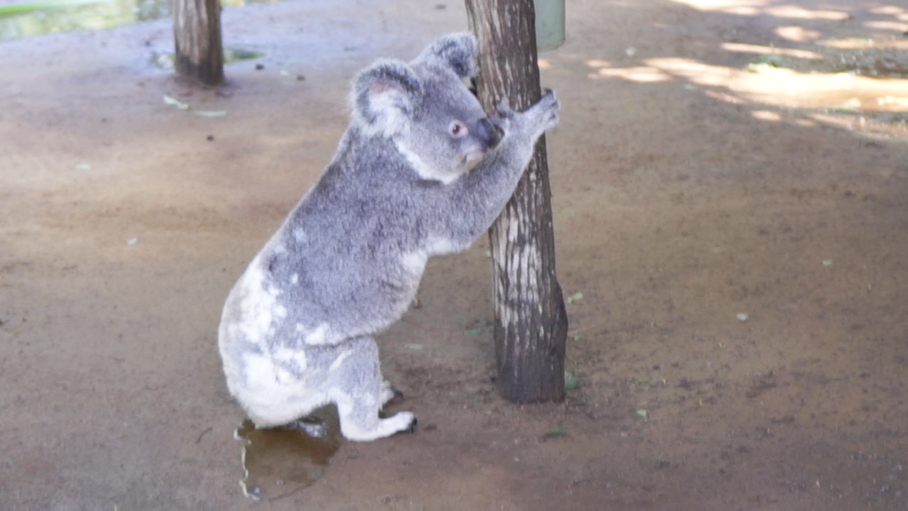 MVI_2358.00_04_28_28.스틸 004.png