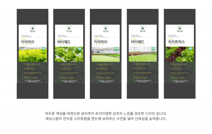 2025-02-19 18 17 19.png