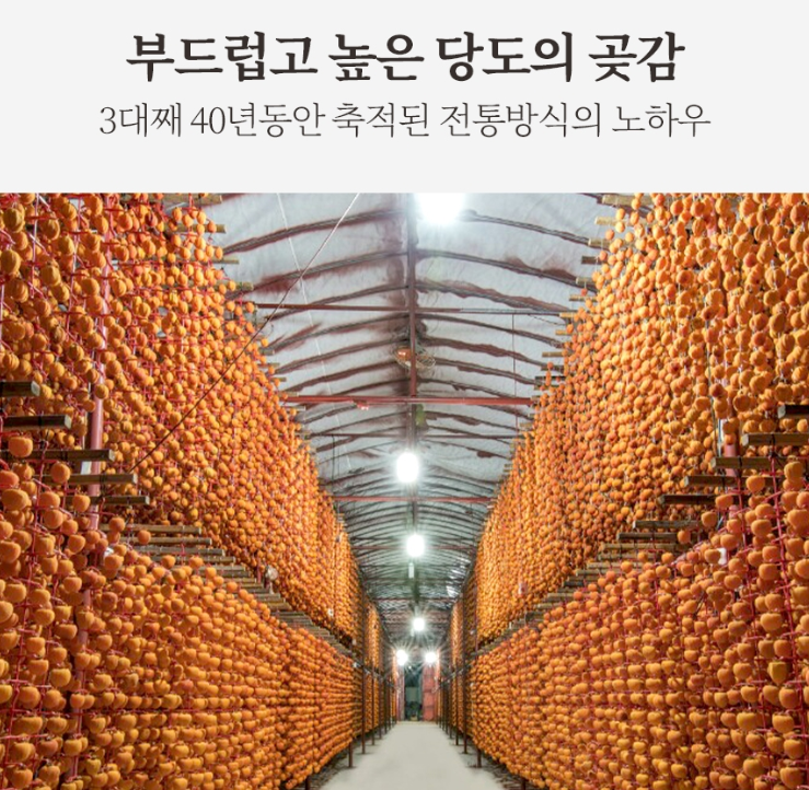 2024-10-28 00 09 47.png