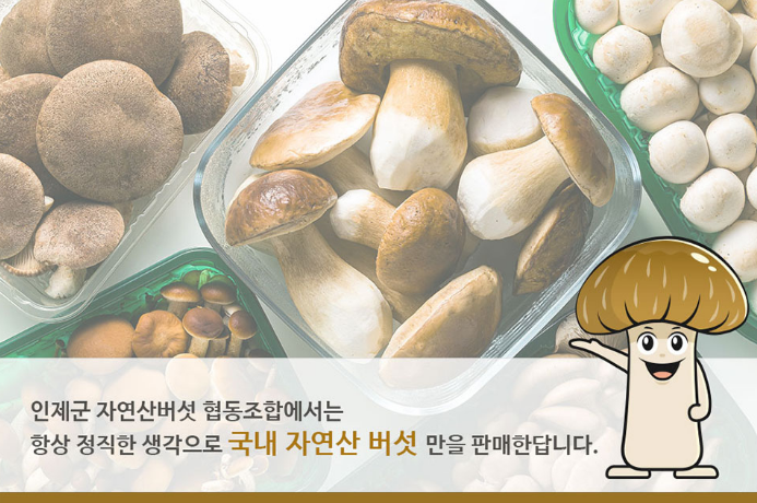 2025-05-24 17 29 25.png