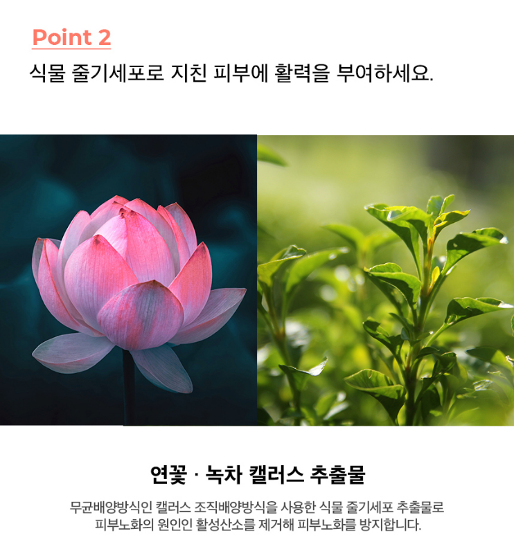 2025-09-21 14 40 37.png