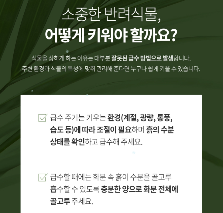 2024-12-16 20 28 31.png