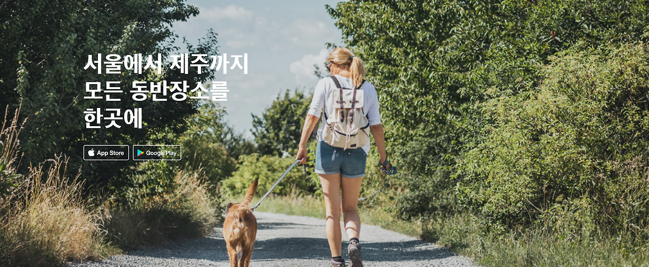 펫코노미_반려동물_04.png