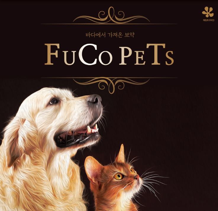 2024-12-05 22 22 35.png