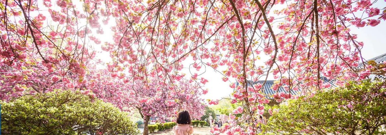 2024-04-11 08 14 49.png