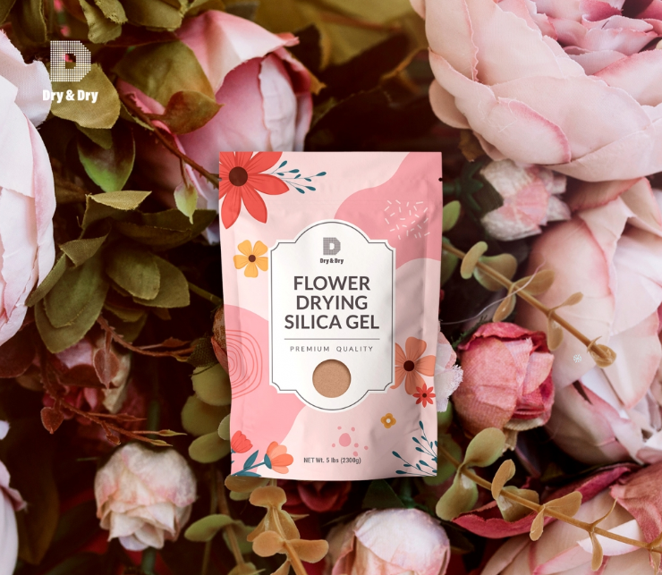 2024-12-24 15 24 56.png