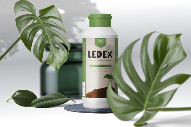 2025-10-30 13 57 09.png