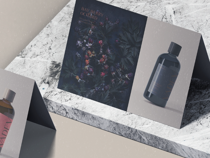 2024-12-12 18 54 26.png