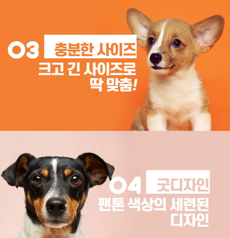 2025-01-24 15 13 58.png